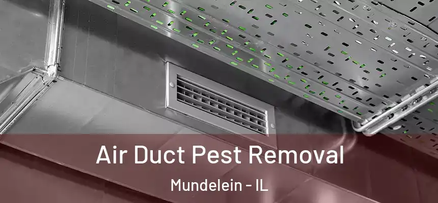 Air Duct Pest Removal Mundelein - IL