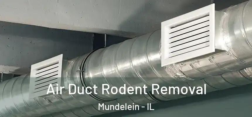  Air Duct Rodent Removal Mundelein - IL