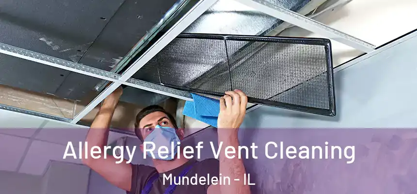 Allergy Relief Vent Cleaning Mundelein - IL