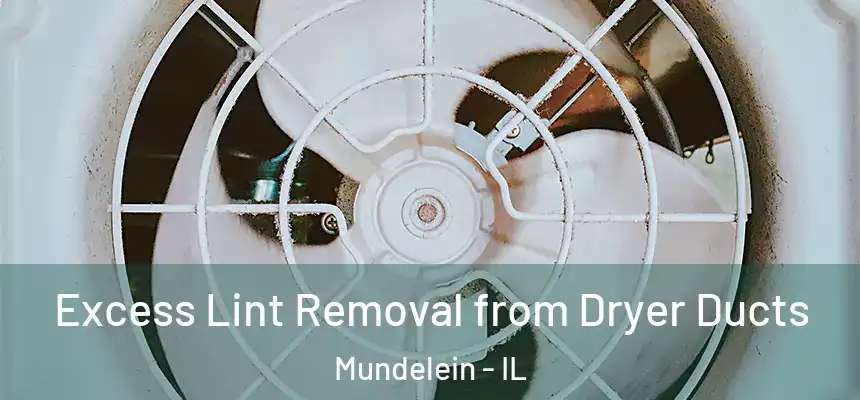 Excess Lint Removal from Dryer Ducts Mundelein - IL