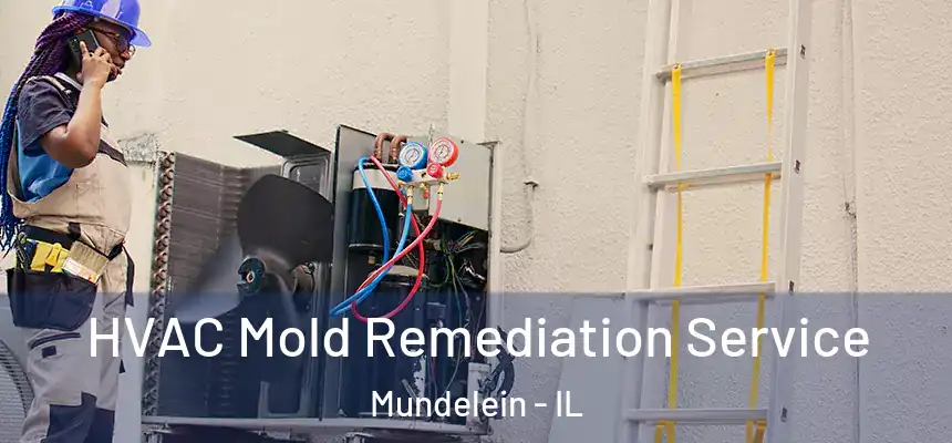 HVAC Mold Remediation Service Mundelein - IL