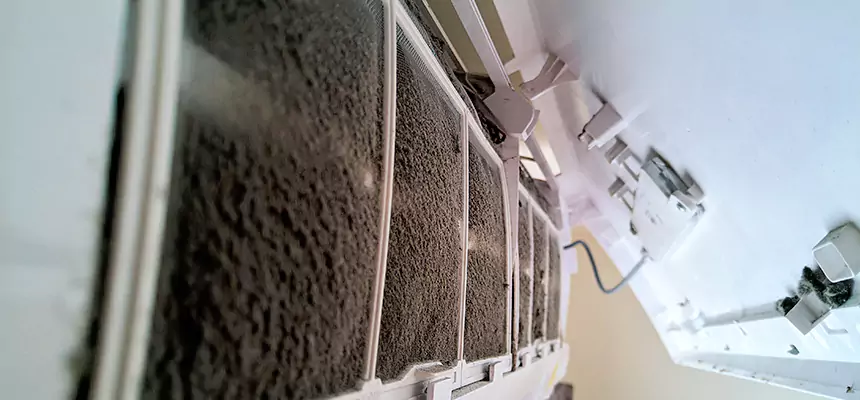 Preventive Air Duct Bacteria Removal in Mundelein