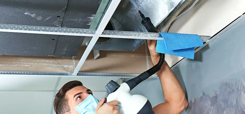 Our Air Duct Rodent Removal Services in Mundelein, IL