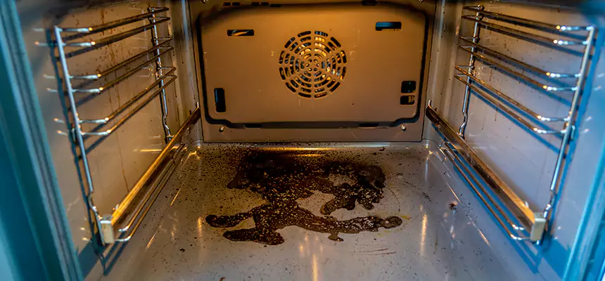 Our Dryer Vent Mold Cleaning Services in Mundelein, IL