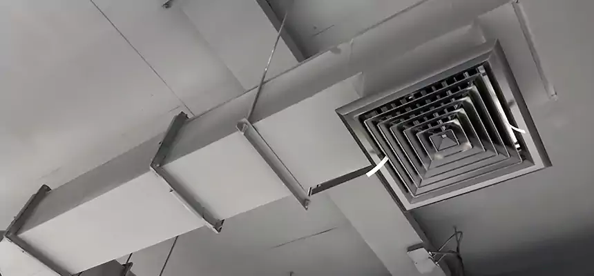 Our Rodent Droppings In Vents Services in Mundelein, IL