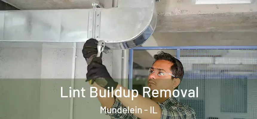 Lint Buildup Removal Mundelein - IL