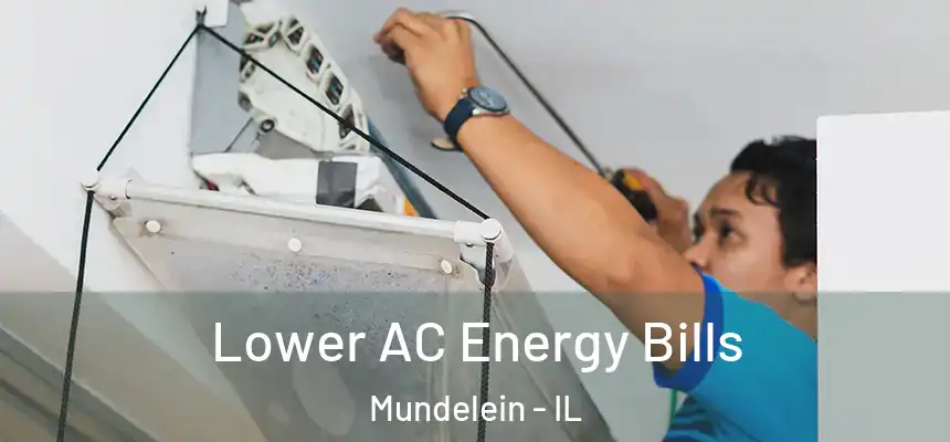  Lower AC Energy Bills Mundelein - IL