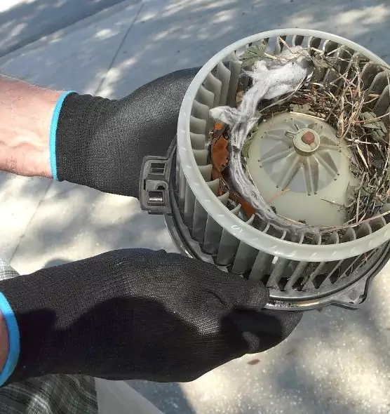 About Air Duct Rat Removal in Mundelein, IL