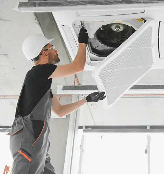 About Air Duct Rodent Removal in Mundelein, IL