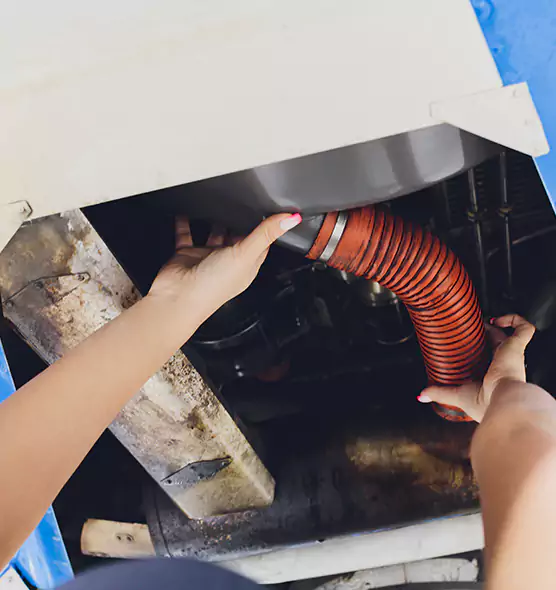 About Air Duct Virus Disinfection in Mundelein, IL
