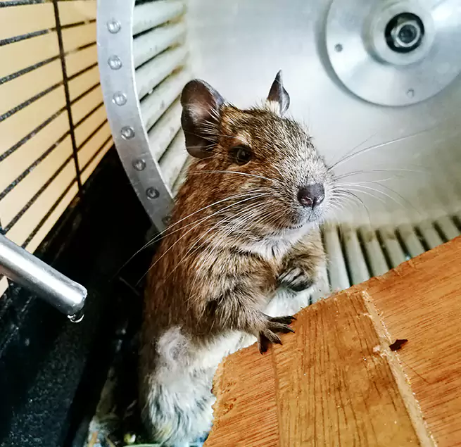 Why Homeowners & Businesses Trust Us Mundelein, IL?