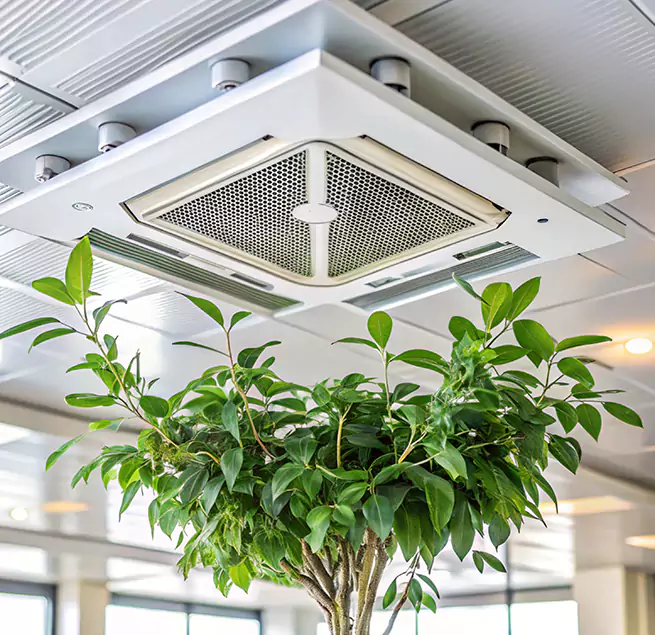 Why Homeowners & Businesses Trust Us in Mundelein, IL