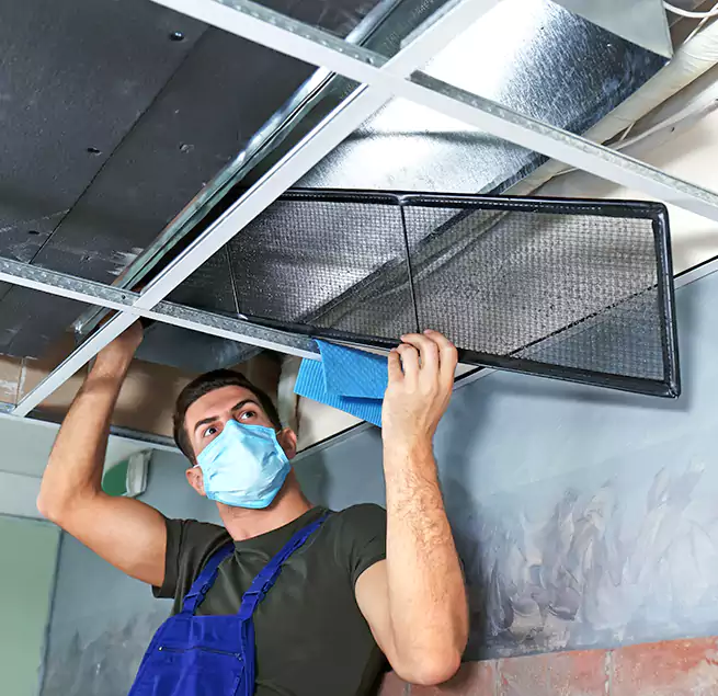 Why Homeowners Businesses Trust Us in Mundelein, IL